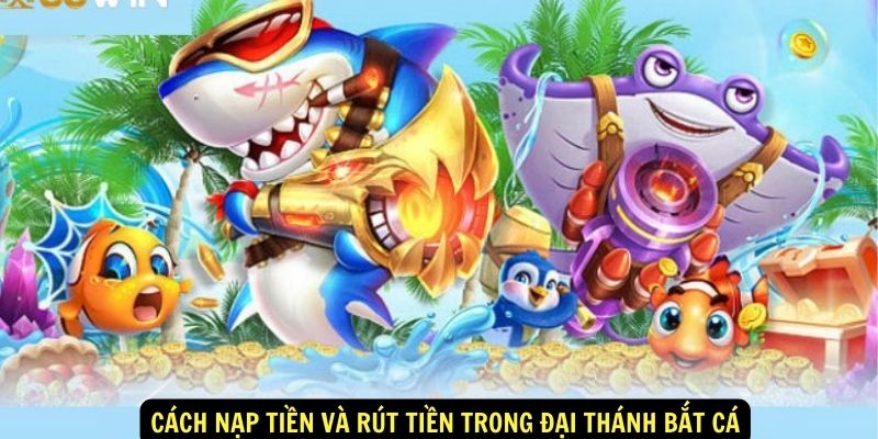 Cach-nap-tien-va-rut-tien-trong-Dai-Thanh-Bat-Ca